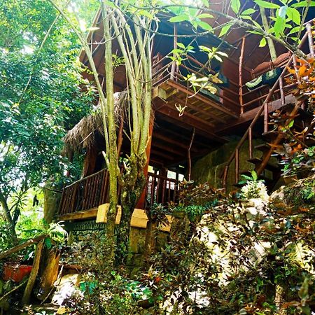 Jungle Face Inn Ella Exterior foto