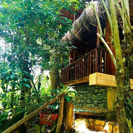 Jungle Face Inn Ella Exterior foto