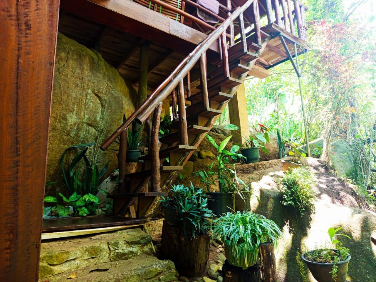 Jungle Face Inn Ella Exterior foto